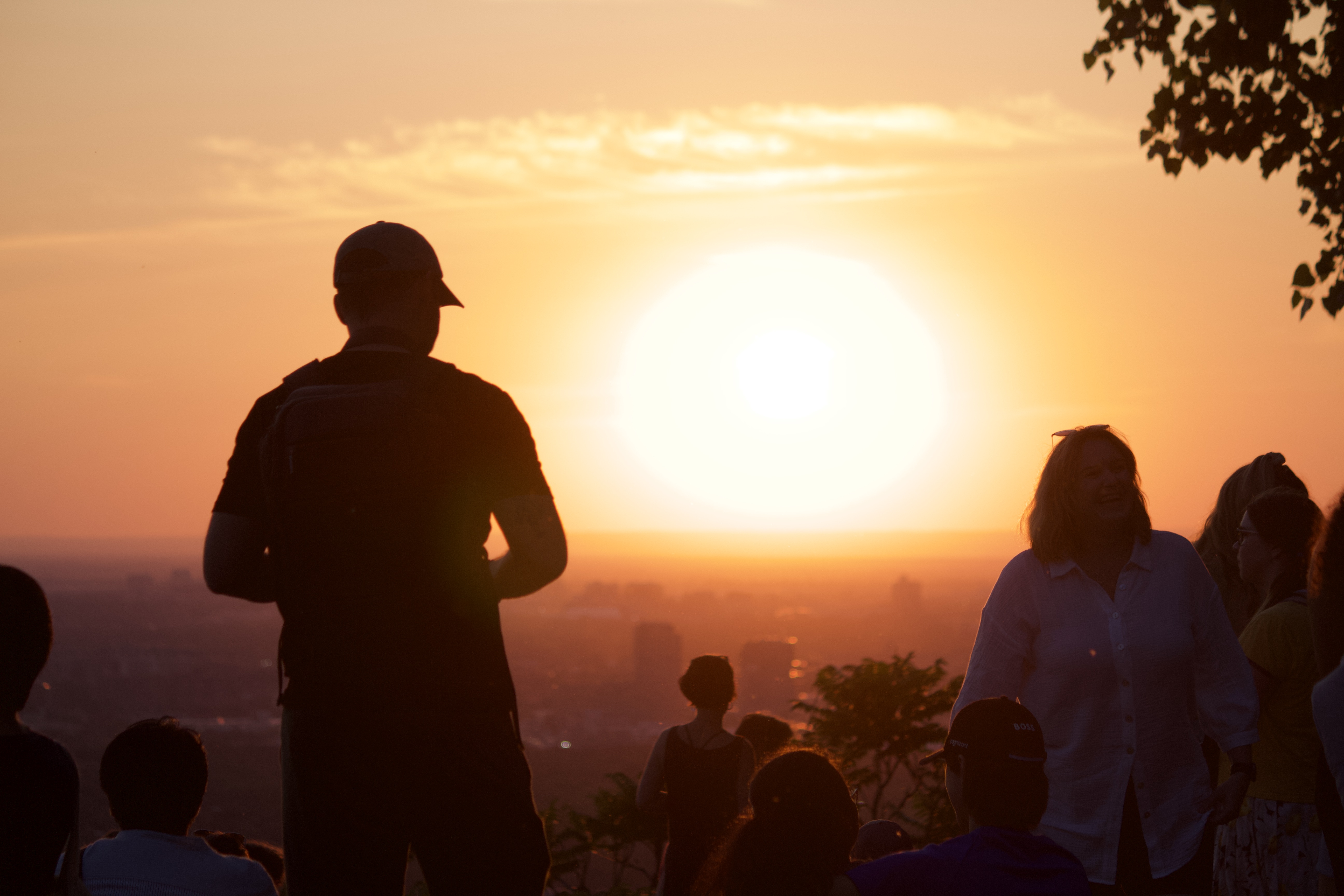 Sunset on Belvédère Outremont