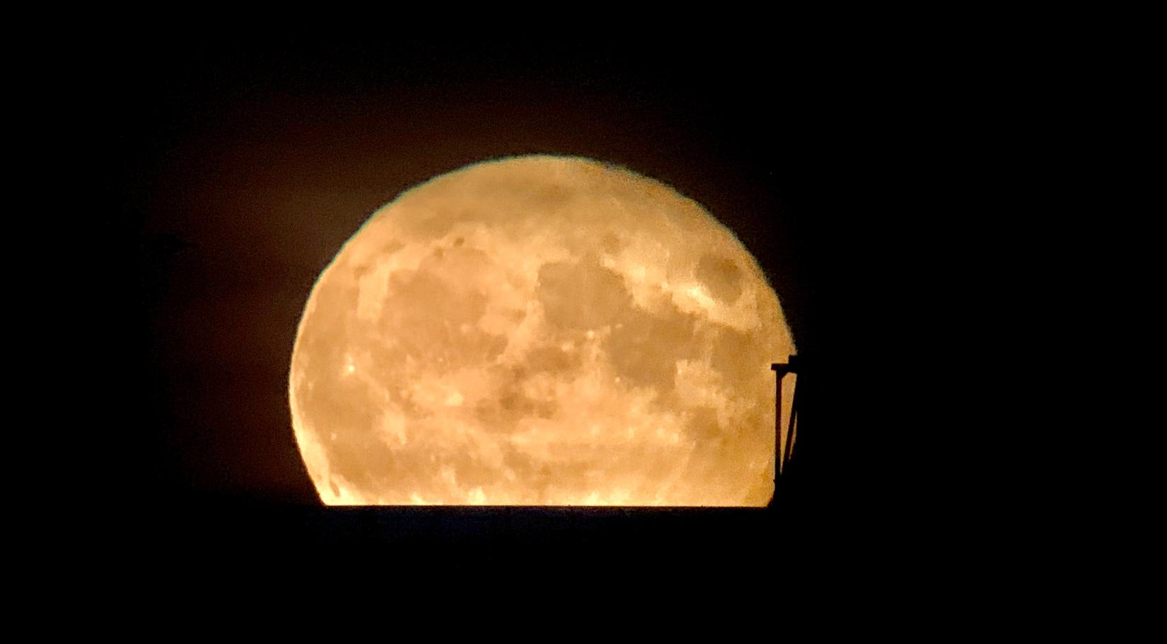 Moon rising above a downtown Montréal building, taken with a telescope.