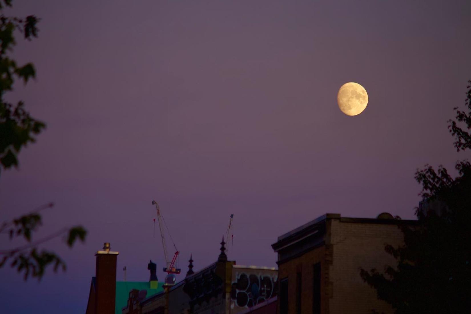 Moon at Sunset in Autumn